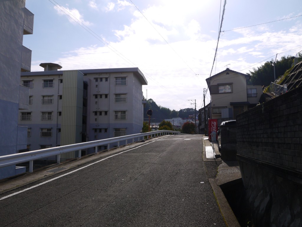 P1050552