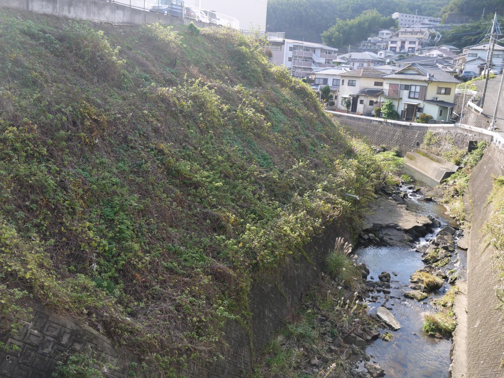 P1050558