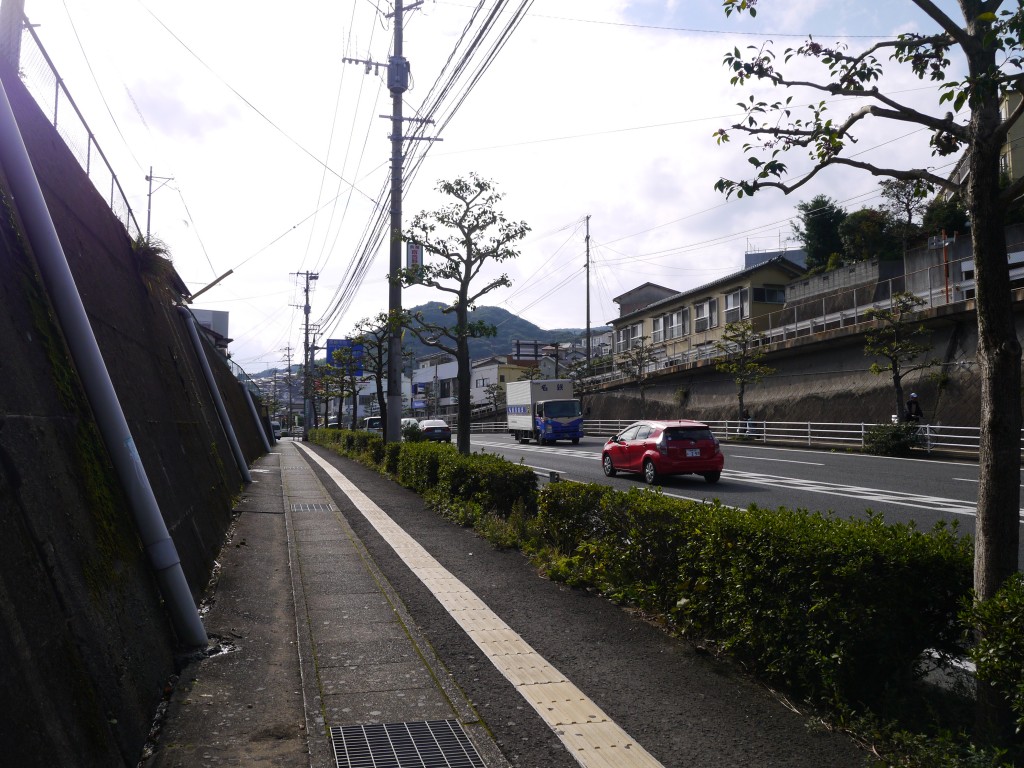 P1050571