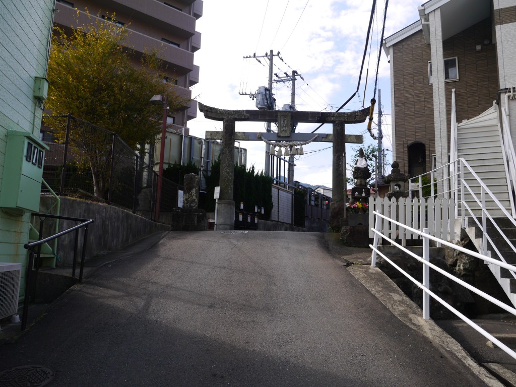 P1050626